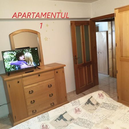 Apartament Cu 2 Camere,Ultracentral In Arad Esterno foto