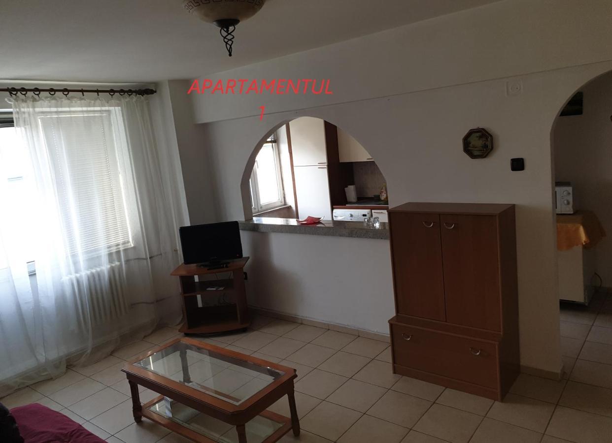 Apartament Cu 2 Camere,Ultracentral In Arad Esterno foto