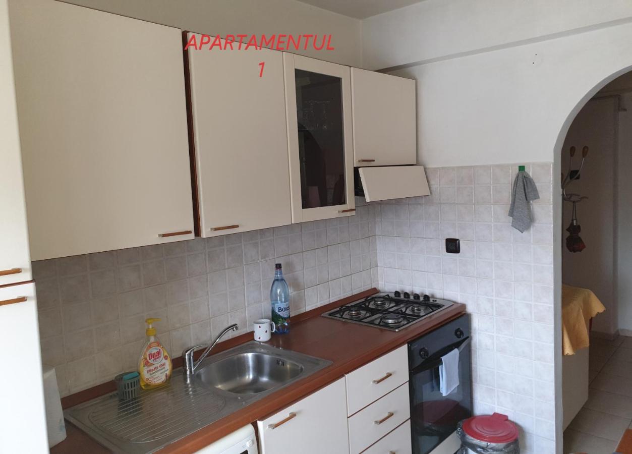 Apartament Cu 2 Camere,Ultracentral In Arad Esterno foto