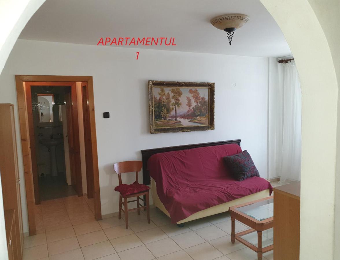 Apartament Cu 2 Camere,Ultracentral In Arad Esterno foto
