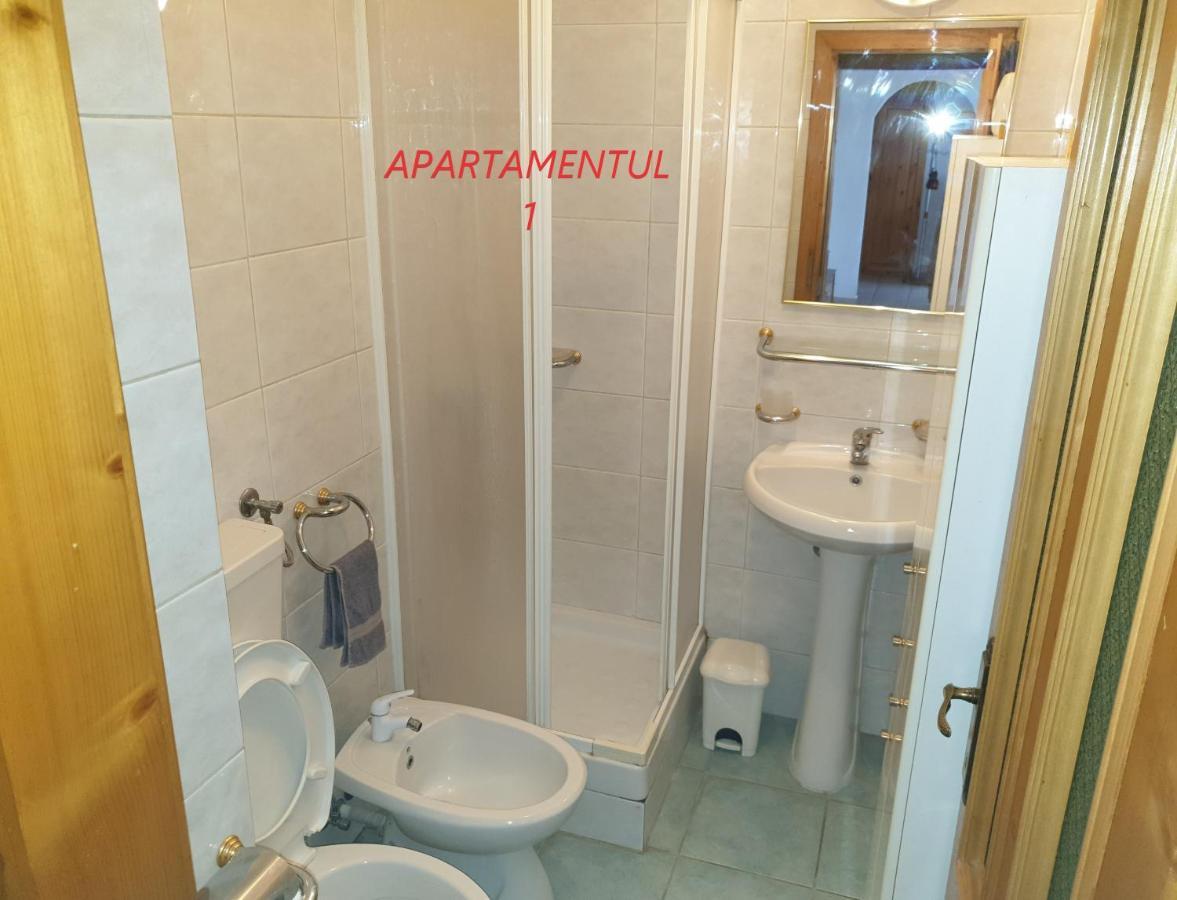 Apartament Cu 2 Camere,Ultracentral In Arad Esterno foto