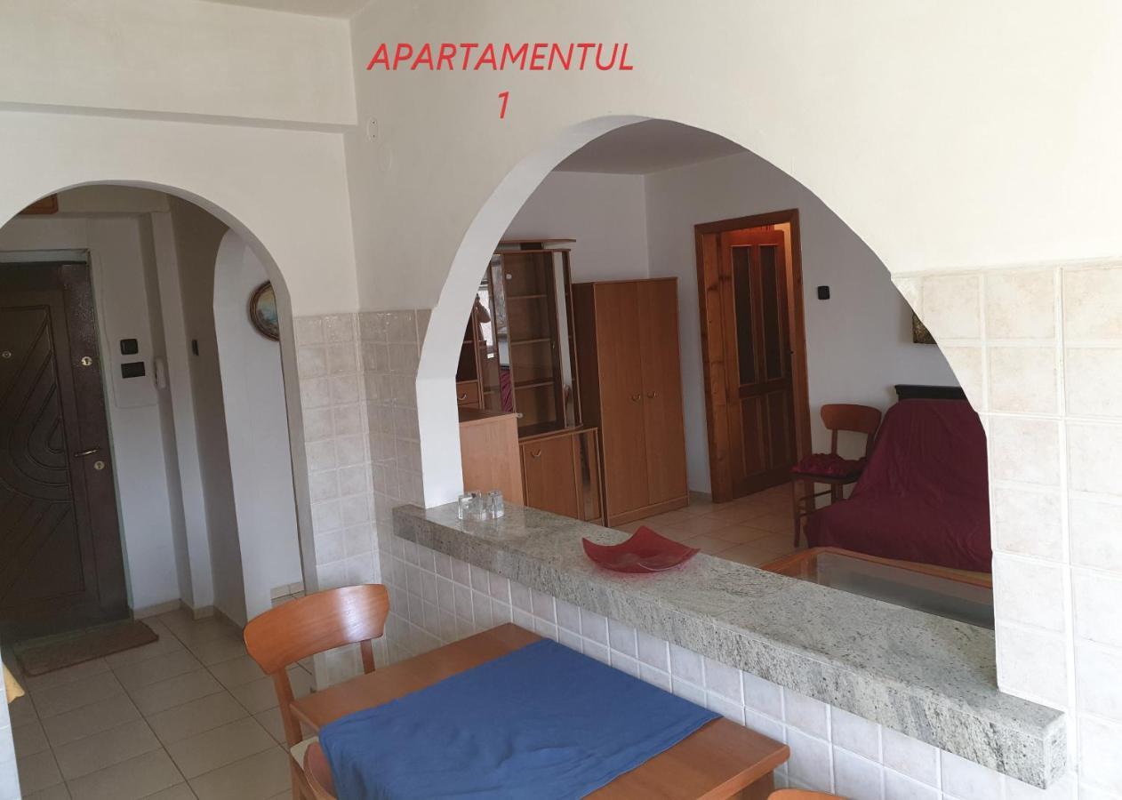 Apartament Cu 2 Camere,Ultracentral In Arad Esterno foto