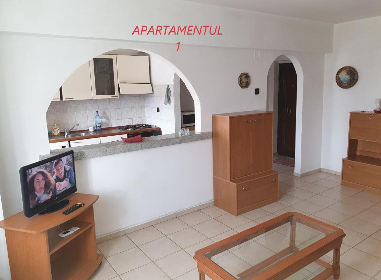 Apartament Cu 2 Camere,Ultracentral In Arad Esterno foto