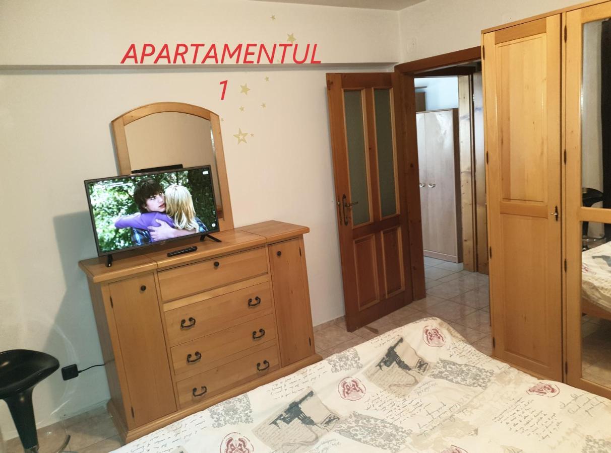 Apartament Cu 2 Camere,Ultracentral In Arad Esterno foto